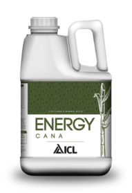 Energy Cana
